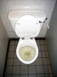 flush toilet